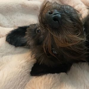 Meet your Posher, Serena